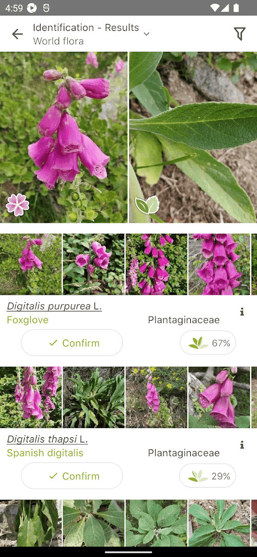 PlantNet Plant Identification  Screenshots