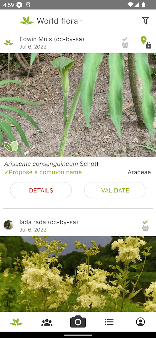PlantNet Plant Identification  Screenshots
