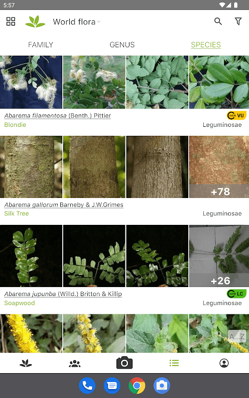 PlantNet Plant Identification  Screenshots
