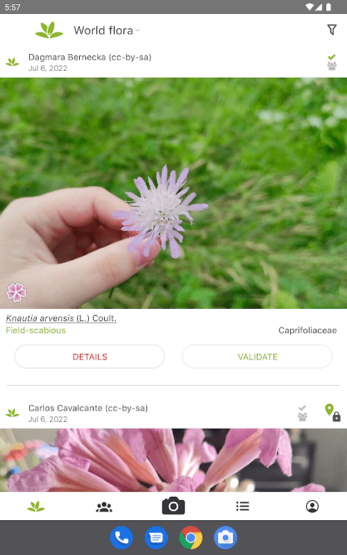 PlantNet Plant Identification  Screenshots