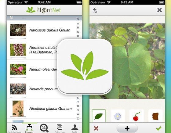 PlantNet Plant Identification  Screenshots