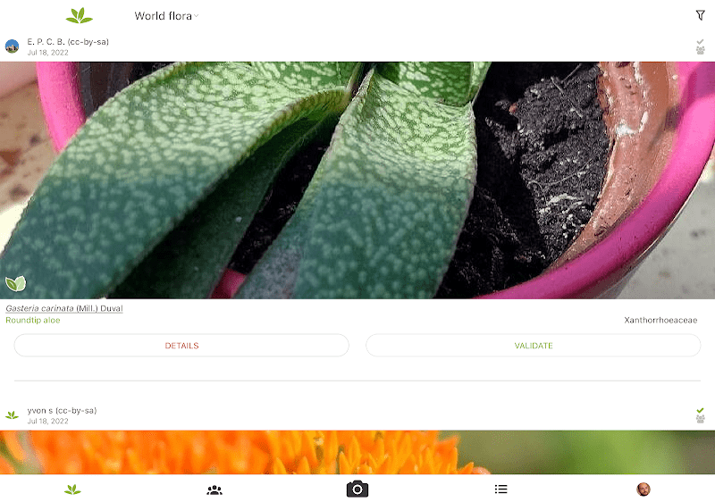 PlantNet Plant Identification  Screenshots
