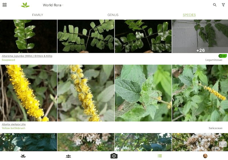 PlantNet Plant Identification  Screenshots
