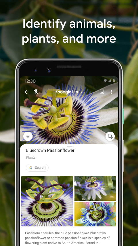 Google lens  Screenshots