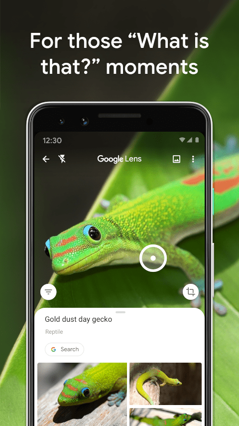 Google lens  Screenshots